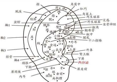 耳朵痣女|女人右耳朵有痣图解 耳朵痣十大福痣图片